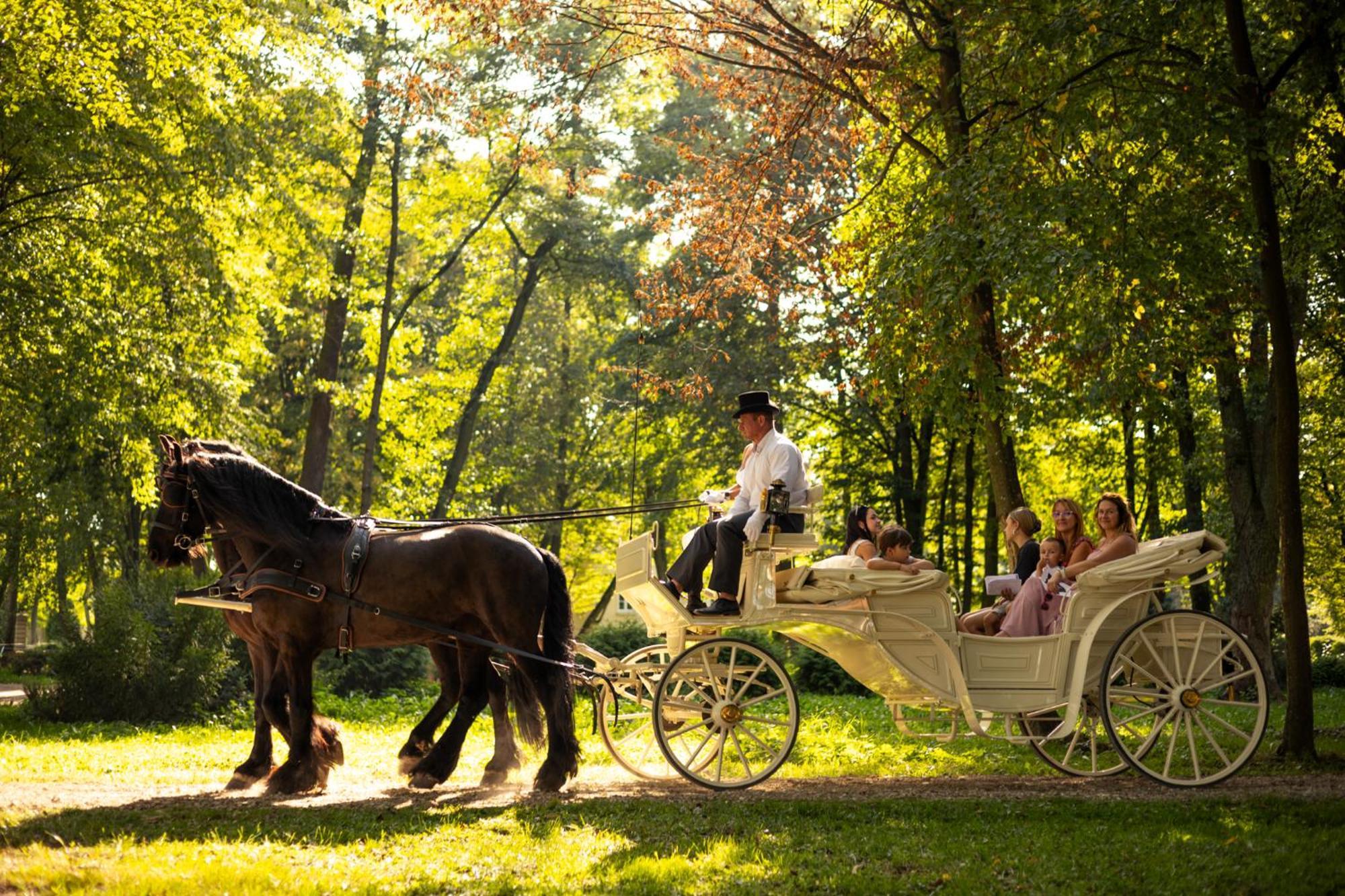 Hotel Palac Alexandrinum Krubki Exteriér fotografie